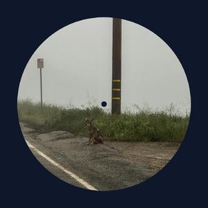 一龙双凤刘晓莉的背景故事
