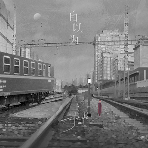 一龙双凤刘晓莉的背景故事
