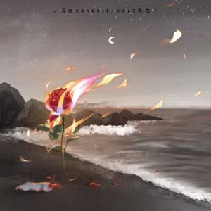 一龙双凤刘晓莉的背景故事
