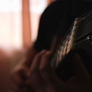 一龙双凤刘晓莉的背景故事
