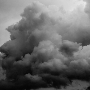 一龙双凤刘晓莉的背景故事
